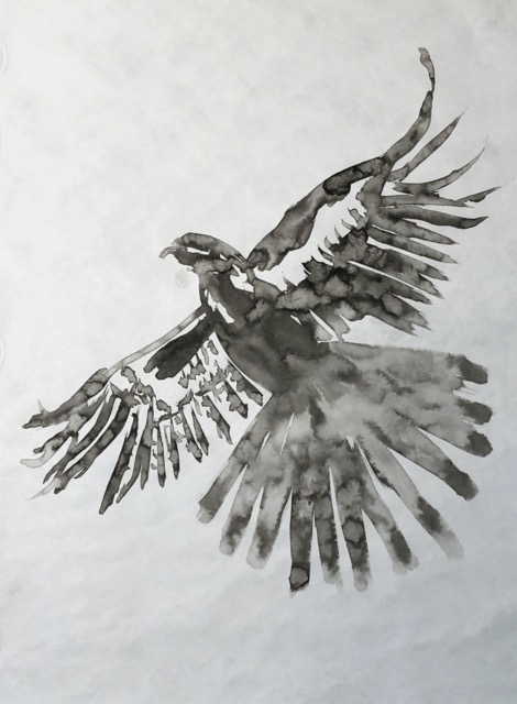 Red Tailed Hawk, RTH-13, 49x30